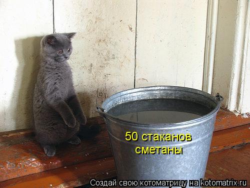 50 стаканов сметаны... Котоматрица: 50 стаканов сметаны