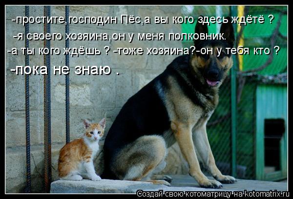 -простите,господин Пёс,а вы кого здесь ждётё ? -я своего хозяина,он у меня полковник. -а ты кого ждёш... Котоматрица: -простите,господин Пёс,а вы кого здесь ждётё ? -я своего хозяина,он у меня полковник. -а ты кого ждёшь ? -тоже хозяина?-он у тебя кто ? -пока не зн