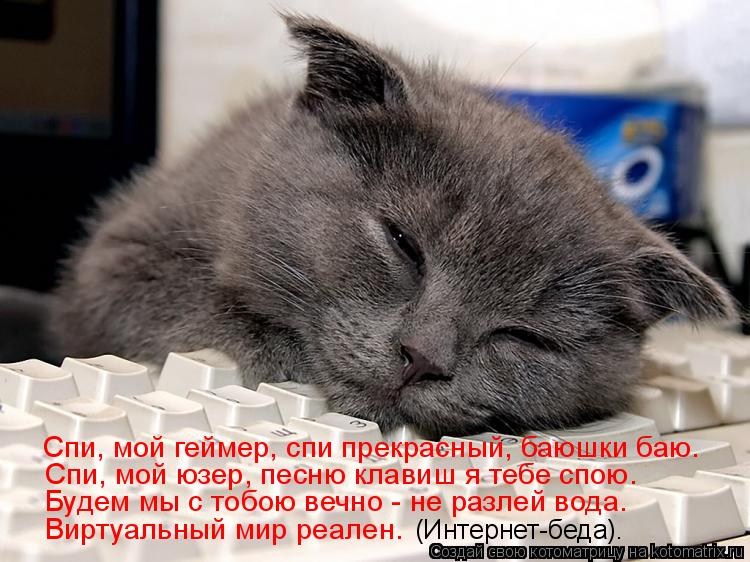 Спи, мой геймер, спи прекрасный, баюшки баю. Спи, мой юзер, песню клавиш я тебе спою. Будем мы с тобо... Котоматрица: Спи, мой геймер, спи прекрасный, баюшки баю. Спи, мой юзер, песню клавиш я тебе спою. Будем мы с тобою вечно - не разлей вода. Виртуальный мир ре