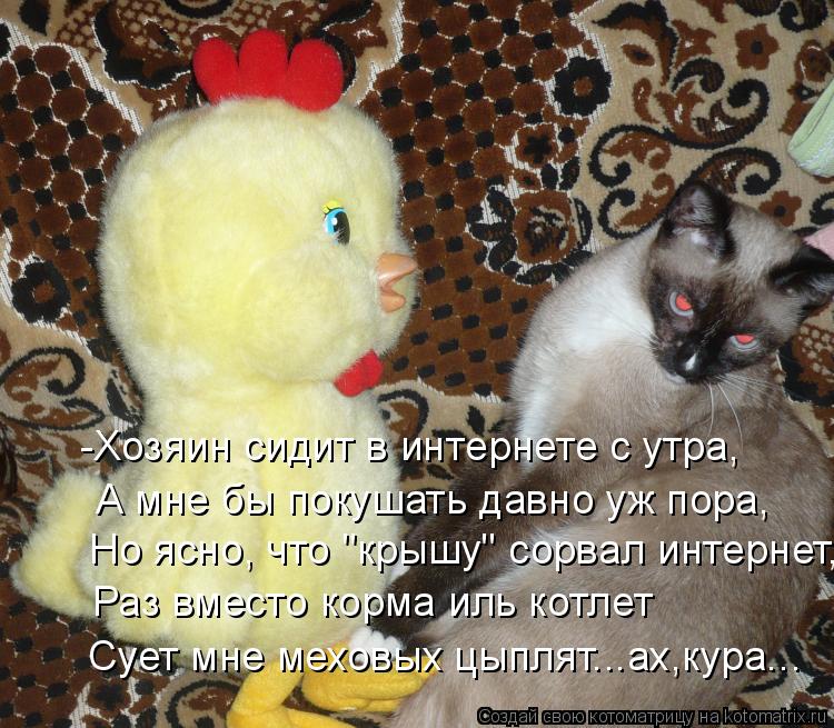 Котоматрица: -Хозяин сидит в интернете с утра, А мне бы покушать давно уж пора, Но ясно, что "крышу" сорвал интернет, Раз вместо корма иль котлет Сует мне ме