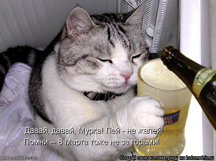 Давай, давай, Мурка! Лей - не жалей! Помни -- 8 Марта тоже не за горами!... Котоматрица: Давай, давай, Мурка! Лей - не жалей! Помни -- 8 Марта тоже не за горами!