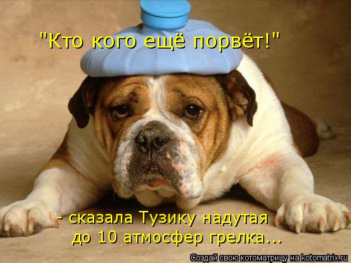 "Кто кого ещё порвёт!" - сказала Тузику надутая до 10 атмосфер грелка...... Котоматрица: "Кто кого ещё порвёт!" - сказала Тузику надутая до 10 атмосфер грелка...