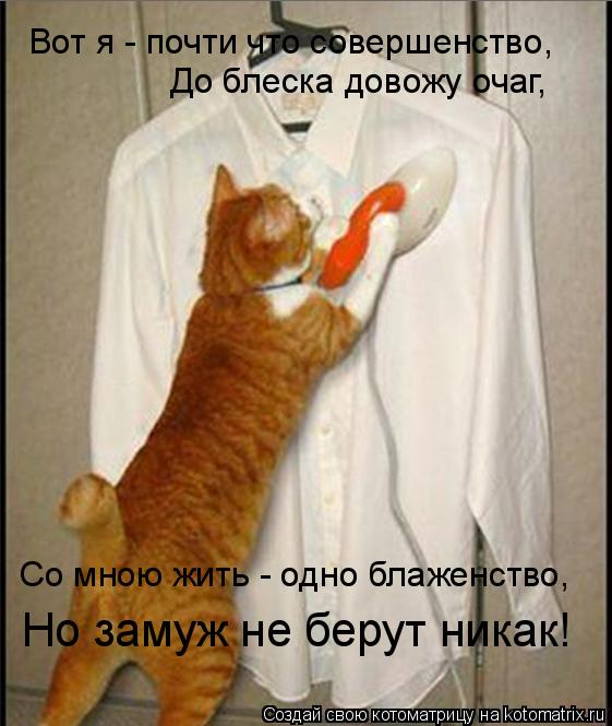 Вот я - почти что совершенство, До блеска довожу очаг, Со мною жить - одно блаженство, Но замуж не б... Котоматрица: Вот я - почти что совершенство, До блеска довожу очаг, Со мною жить - одно блаженство, Но замуж не берут никак!