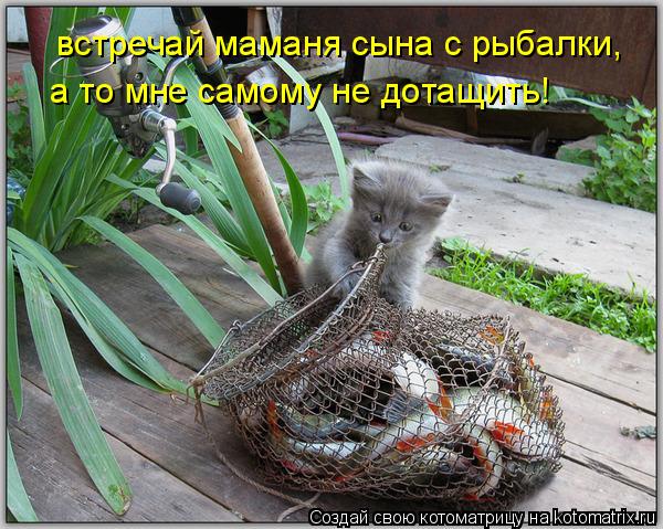 встречай маманя сына с рыбалки, а то мне самому не дотащить!... Котоматрица: встречай маманя сына с рыбалки, а то мне самому не дотащить!