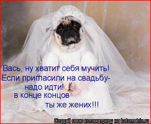 Не позвала друзей на свадьбу Не позвала друзей на свадьбу