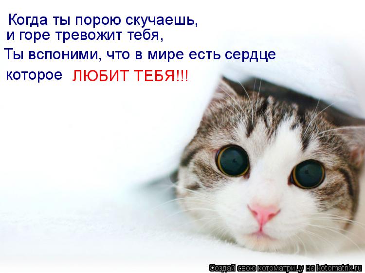 Когда ты порою скучаешь, и горе тревожит тебя, Ты вспоними, что в мире есть сердце которое ЛЮБИТ ТЕБ... Котоматрица: Когда ты порою скучаешь, и горе тревожит тебя, Ты вспоними, что в мире есть сердце которое ЛЮБИТ ТЕБЯ!!!