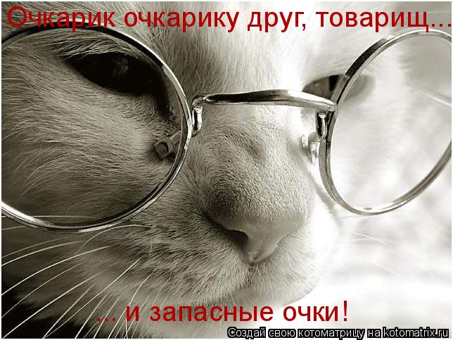 Очкарик очкарику друг, товарищ... ... и запасные очки!... Котоматрица: Очкарик очкарику друг, товарищ... ... и запасные очки!