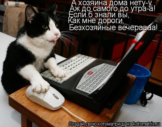 Безхозяйные вечераааа! А хозяина дома нету-у, Аж до самого,до утра-а! Если б знали вы, Как мне дороги... Котоматрица: Безхозяйные вечераааа! А хозяина дома нету-у, Аж до самого,до утра-а! Если б знали вы, Как мне дороги.