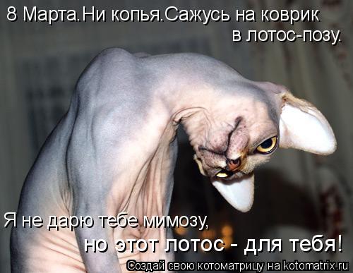 8 Марта.Ни копья.Сажусь на коврик в лотос-позу. Я не дарю тебе мимозу, но этот лотос - для тебя!... Котоматрица: 8 Марта.Ни копья.Сажусь на коврик в лотос-позу. Я не дарю тебе мимозу, но этот лотос - для тебя!