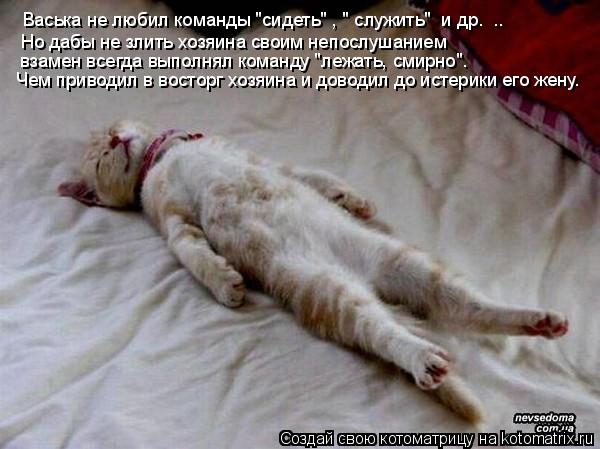 http://kotomatrix.ru/images/lolz/2009/02/24/Q1.jpg