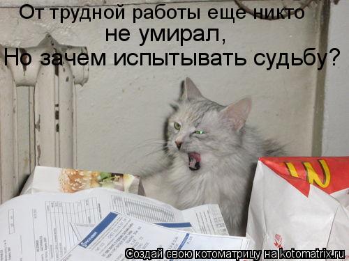Еще никто не умер стих Еще никто не умер стих