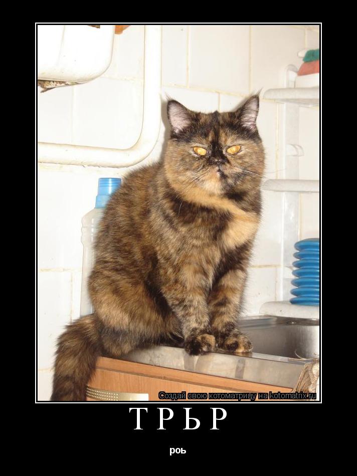 трьр роь... Котоматрица: трьр роь
