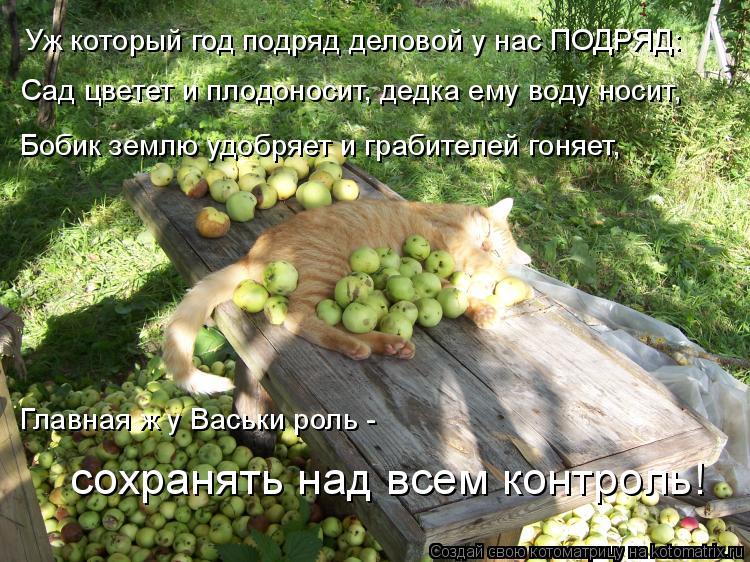 Уж который год подряд деловой у нас ПОДРЯД: Сад цветет и плодоносит, дедка ему воду носит, Бобик земл... Котоматрица: Уж который год подряд деловой у нас ПОДРЯД: Сад цветет и плодоносит, дедка ему воду носит, Бобик землю удобряет и грабителей гоняет, сохраня
