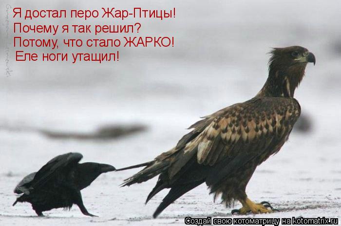Я достал перо Жар-Птицы! Почему я так решил? Потому, что стало ЖАРКО! Еле ноги утащил!... Котоматрица: Я достал перо Жар-Птицы! Почему я так решил? Потому, что стало ЖАРКО! Еле ноги утащил!