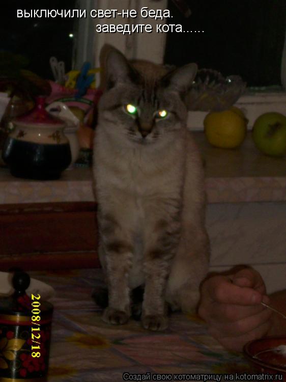 Котоматрица: выключили свет-не беда. заведите кота......