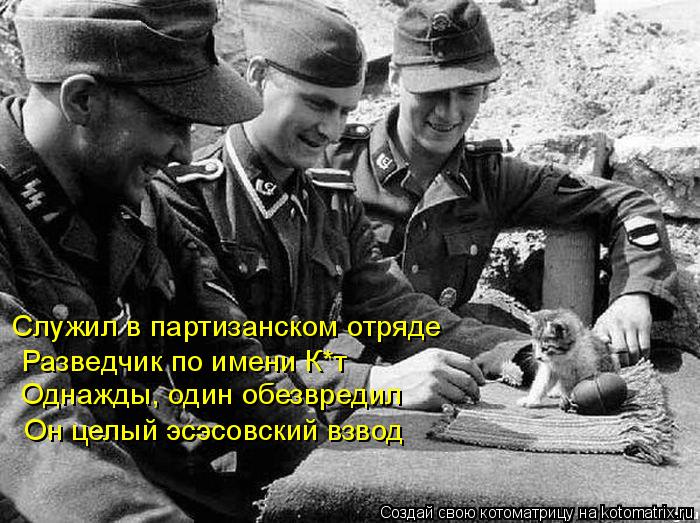 Служил в партизанском отряде Разведчик по имени К*т Однажды, один обезвредил Он целый эсэсовский взво... Котоматрица: Служил в партизанском отряде Разведчик по имени К*т Однажды, один обезвредил Он целый эсэсовский взвод