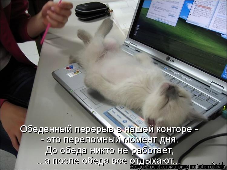 Обеденный перерыв в нашей конторе - - это переломный момент дня. До обеда никто не работает, ...а ... Котоматрица: Обеденный перерыв в нашей конторе - - это переломный момент дня. До обеда никто не работает, ...а после обеда все отдыхают...
