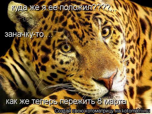 куда же я ее положил????,,, заначку-то.... как же теперь пережить 8 марта... Котоматрица: куда же я ее положил????,,, заначку-то.... как же теперь пережить 8 марта
