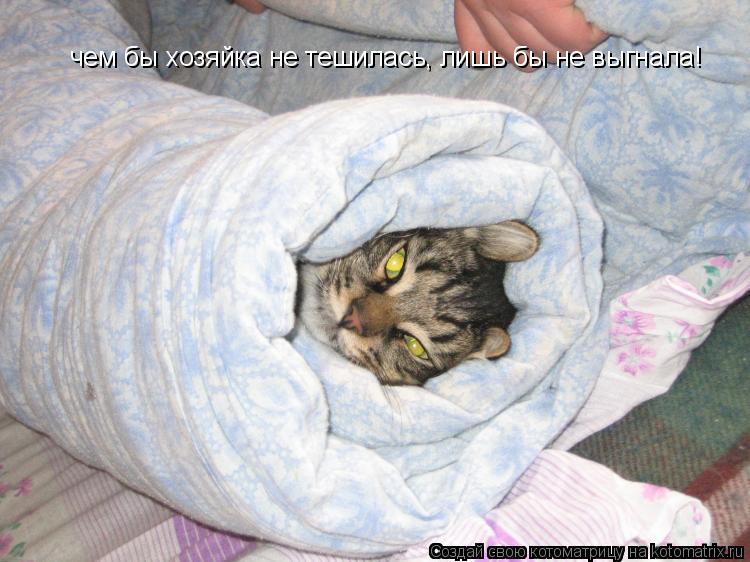 чем бы хозяйка не тешилась, лишь бы не выгнала!... Котоматрица: чем бы хозяйка не тешилась, лишь бы не выгнала!