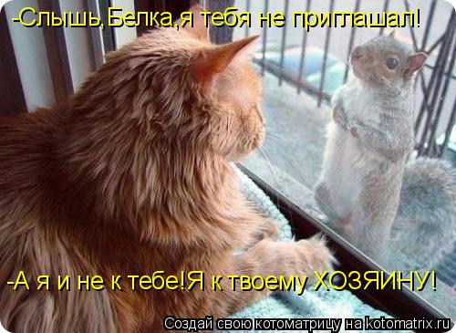 -Слышь,Белка,я тебя не приглашал! -А я и не к тебе!Я к твоему ХОЗЯИНУ!... Котоматрица: -Слышь,Белка,я тебя не приглашал! -А я и не к тебе!Я к твоему ХОЗЯИНУ!