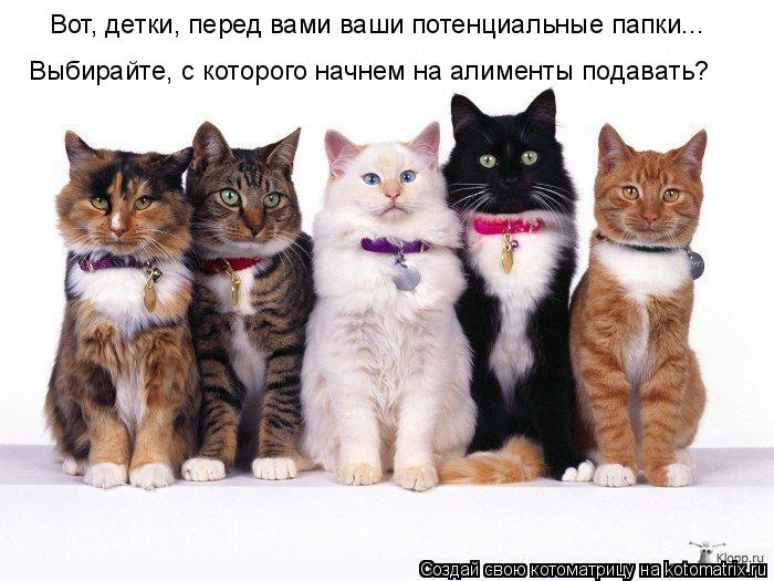 Вот, детки, перед вами ваши потенциальные папки... Выбирайте, с которого начнем на алименты подавать?... Котоматрица: Вот, детки, перед вами ваши потенциальные папки... Выбирайте, с которого начнем на алименты подавать?