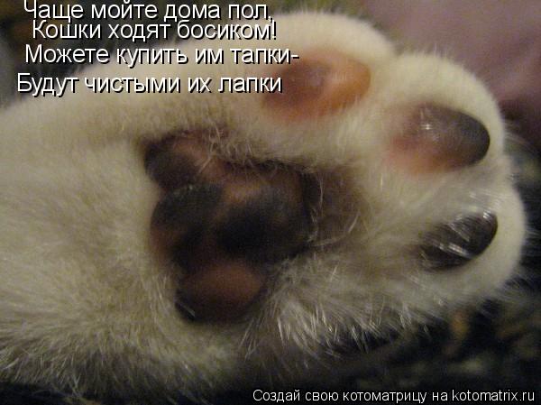 Чаще мойте дома пол, Будут чистыми их лапки Кошки ходят босиком! Можете купить им тапки-... Котоматрица: Чаще мойте дома пол, Будут чистыми их лапки Кошки ходят босиком! Можете купить им тапки-