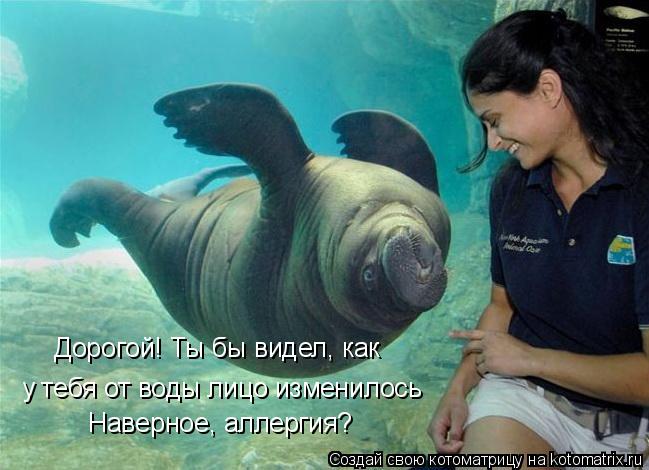 Котоматрица: Дорогой! Ты бы видел, как у тебя от воды лицо изменилось Наверное, аллергия?