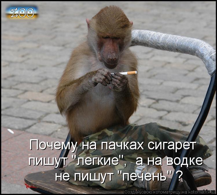 Почему на пачках сигарет пишут "легкие", а на водке не пишут "печень" ?... Котоматрица: Почему на пачках сигарет пишут "легкие", а на водке не пишут "печень" ?