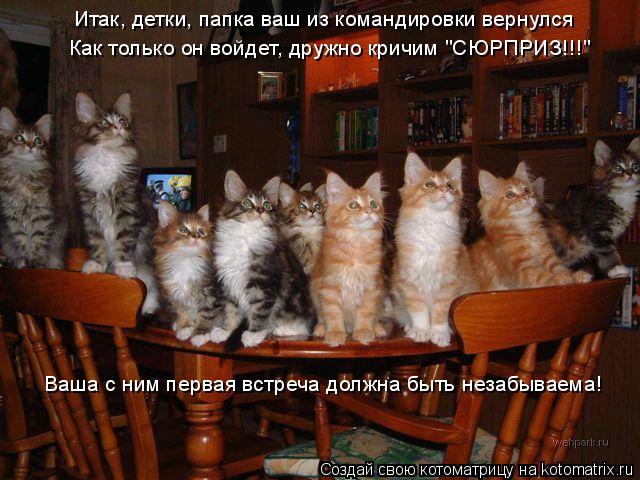 Итак, детки, папка ваш из командировки вернулся Как только он войдет, дружно кричим "СЮРПРИЗ!!!" Ваша... Котоматрица: Итак, детки, папка ваш из командировки вернулся Как только он войдет, дружно кричим "СЮРПРИЗ!!!" Ваша с ним первая встреча должна быть незабыв