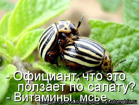 - Официант, что это ползает по салату? - Витамины, мсье.... Котоматрица: - Официант, что это ползает по салату? - Витамины, мсье.