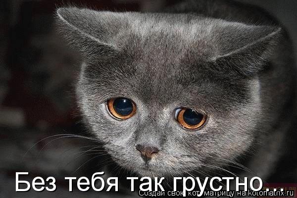 Открытки мне без тебя грустно одному Открытки мне без тебя грустно одному