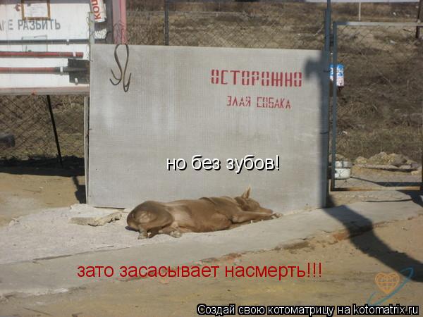 Как сделать вай фай на ростелеком роутер Как сделать вай фай на ростелеком роутер