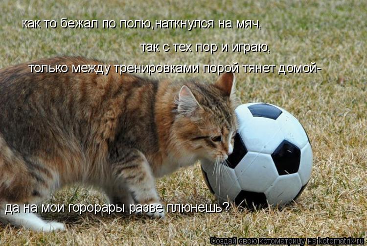 Обзор Трибуны