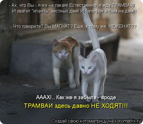 - Ах, что Вы - я же не такая! Естественно, я жду ТРАМВАЯ! И хватит "клеить" честных дам! И телефон я ... Котоматрица: - Ах, что Вы - я же не такая! Естественно, я жду ТРАМВАЯ! И хватит "клеить" честных дам! И телефон я Вам не дам!! ...Что говорите? Вы МАГНАТ? Еще, к т