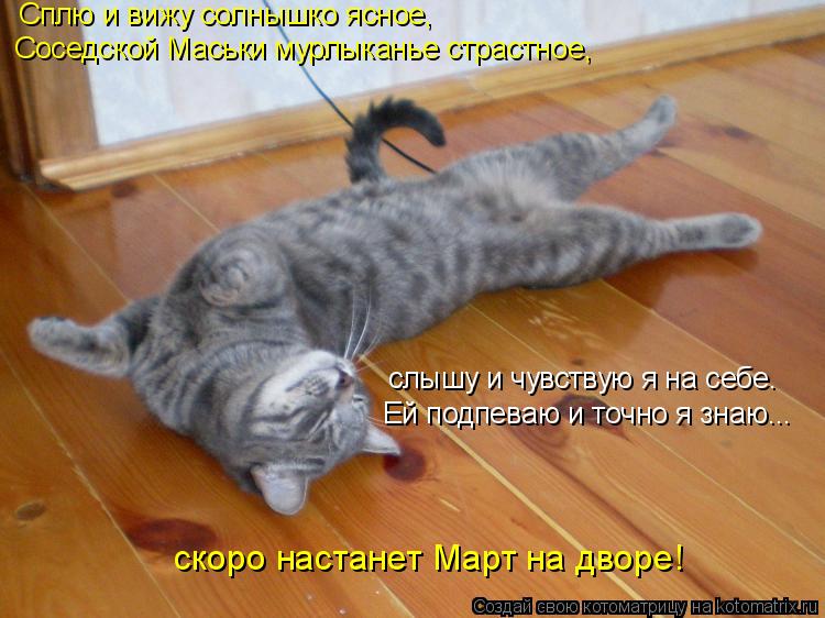 Сплю и вижу солнышко ясное, Соседской Маськи мурлыканье страстное, скоро настанет Март на дворе! слы... Котоматрица: Сплю и вижу солнышко ясное, Соседской Маськи мурлыканье страстное, скоро настанет Март на дворе! слышу и чувствую я на себе. Ей подпеваю и т