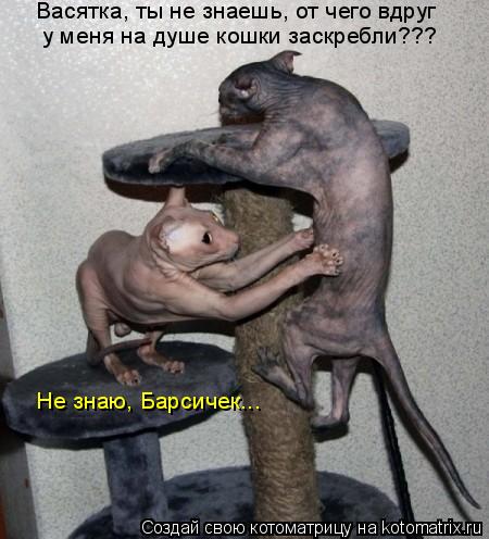 у меня на душе кошки заскребли??? Васятка, ты не знаешь, от чего вдруг Не знаю, Барсичек...... Котоматрица: у меня на душе кошки заскребли??? Васятка, ты не знаешь, от чего вдруг Не знаю, Барсичек...