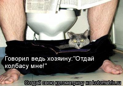 Говорил ведь хозяину:"Отдай колбасу мне!"... Котоматрица: Говорил ведь хозяину:"Отдай колбасу мне!"