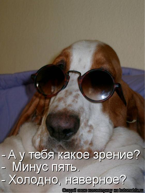 - A y тебя какое зрение? - Минус пять. - Холодно, наверное?... Котоматрица: - A y тебя какое зрение? - Минус пять. - Холодно, наверное?