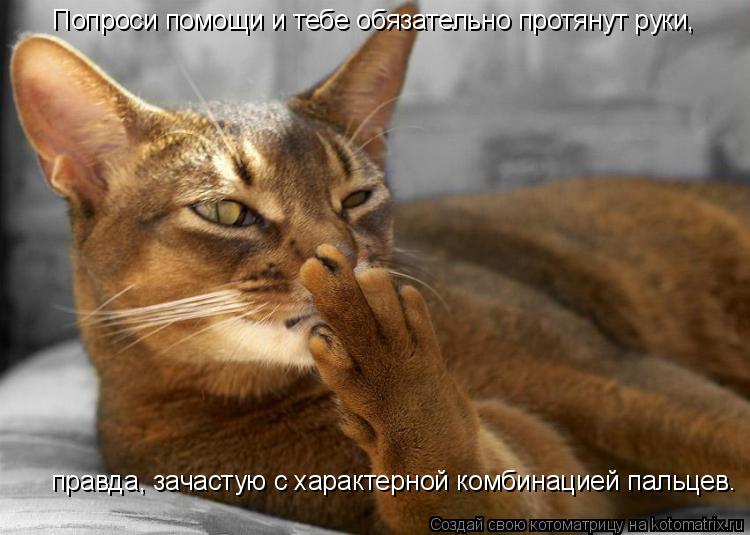 правда, зачастую с характерной комбинацией пальцев. Попроси помощи и тебе обязательно протянут руки,... Котоматрица: правда, зачастую с характерной комбинацией пальцев. Попроси помощи и тебе обязательно протянут руки,