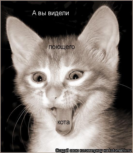 Котоматрица: А вы видели поющего кота