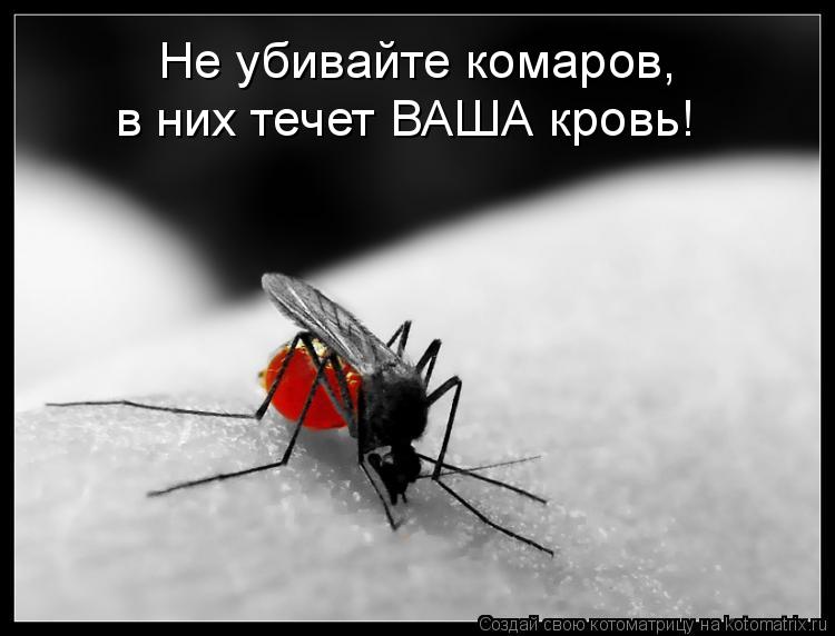 Не убивайте комаров, в них течет ВАША кровь!... Котоматрица: Не убивайте комаров, в них течет ВАША кровь!