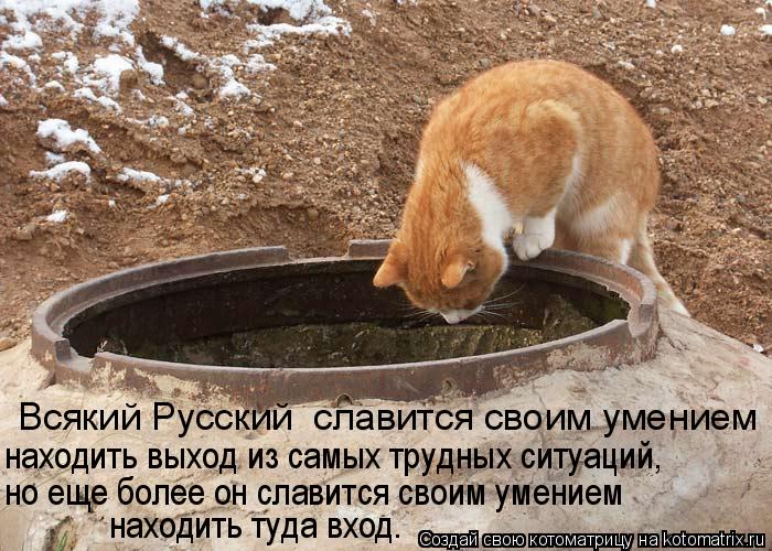 Всякий Русский славится своим умением находить выход из самых трудных ситуаций, но еще более он сл... Котоматрица: Всякий Русский славится своим умением находить выход из самых трудных ситуаций, но еще более он славится своим умением находить туда вхо