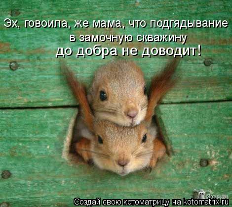 Котоматрица: Эх, говоила, же мама, что подгядывание  в замочную скважину  до добра не доводит!