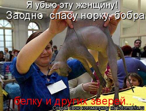 Я убью эту женщину! Заодно спасу норку, бобра, белку и других зверей...... Котоматрица: Я убью эту женщину! Заодно спасу норку, бобра, белку и других зверей...