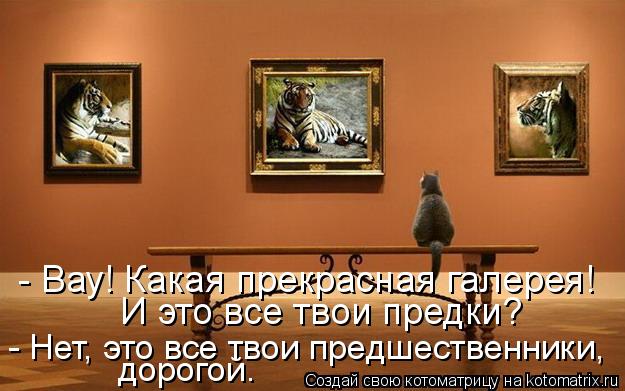 - Вау! Какая прекрасная галерея! - Нет, это все твои предшественники, И это все твои предки? дорог... Котоматрица: - Вау! Какая прекрасная галерея! - Нет, это все твои предшественники, И это все твои предки? дорогой.