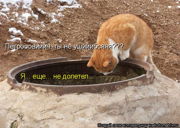 Петрооовииич, ты не ушииибсяяя??? Я... еще... не долетел...... Котоматрица: Петрооовииич, ты не ушииибсяяя??? Я... еще... не долетел...