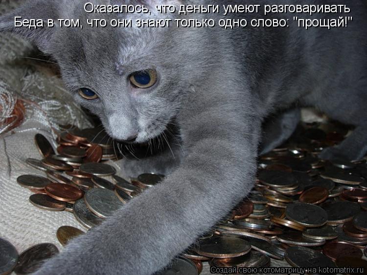 Оказалось, что деньги умеют разговаривать Беда в том, что они знают только одно слово: "прощай!"... Котоматрица: Оказалось, что деньги умеют разговаривать Беда в том, что они знают только одно слово: "прощай!"