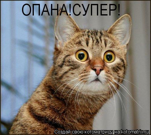 ОПАНА!СУПЕР!... Котоматрица: ОПАНА!СУПЕР!