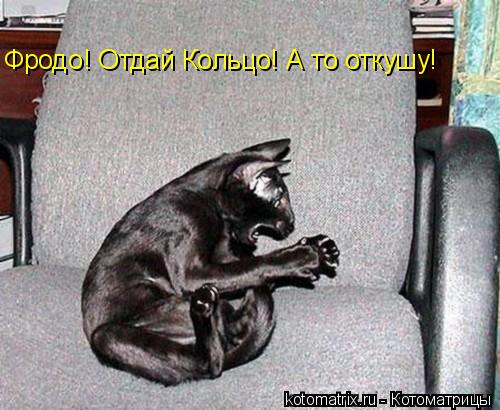 Фродо! Отдай Кольцо! А то откушу!... Котоматрица: Фродо! Отдай Кольцо! А то откушу!