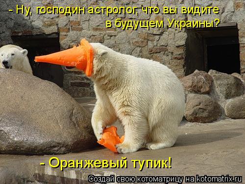 - Ну, господин астролог, что вы видите в будущем Украины? - Оранжевый тупик!... Котоматрица: - Ну, господин астролог, что вы видите в будущем Украины? - Оранжевый тупик!